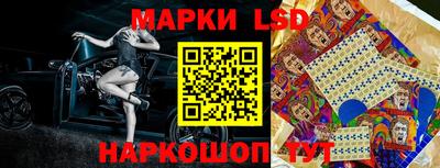 мдпв Камышлов