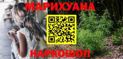 мдпв Камышлов