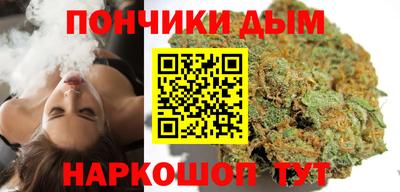 мдпв Камышлов