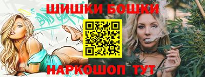 мдпв Камышлов