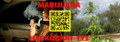индика Канаш